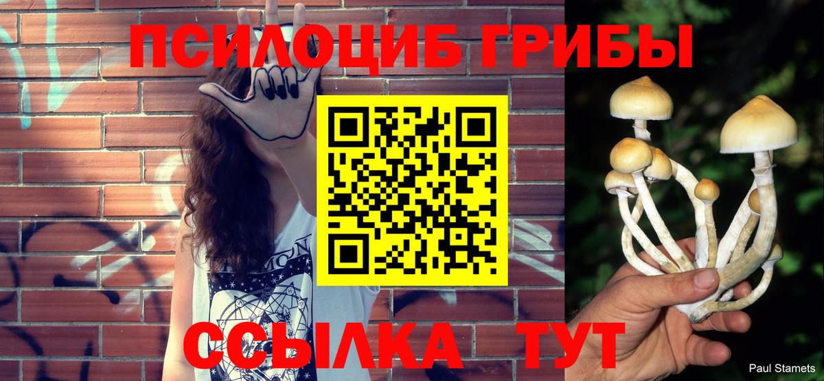 Электрогорск  наркотики  Вход с VPN  Галлюциногенные грибы MAGIC MUSHROOMS  Псилоцибиновые грибы Psilocybe 