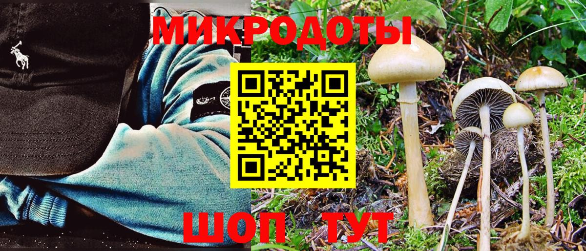Псилоцибиновые грибы мухоморы Электрогорск