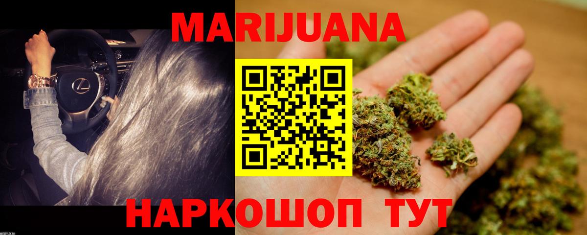 Конопля гибрид Электрогорск